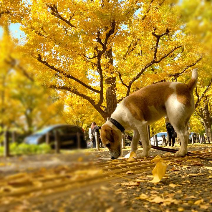 C94dc84a bd47 45ba 9bf8 0f1a24cfe5e3 1605617309186