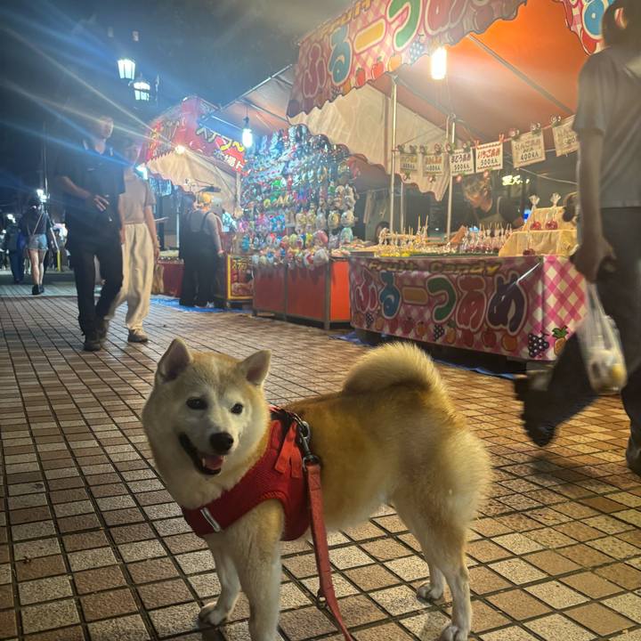 C94dd389 4fbb 415d 952c 4c6fc7b0251f 1759095977621