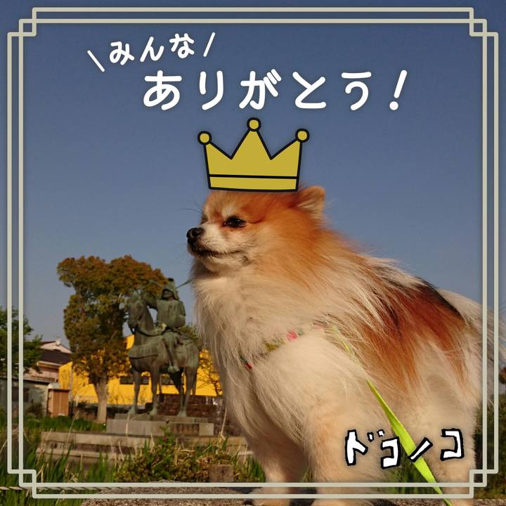 C94df8ab 19ba 48a6 a1a9 4aa10cd33ab5 1623051450914