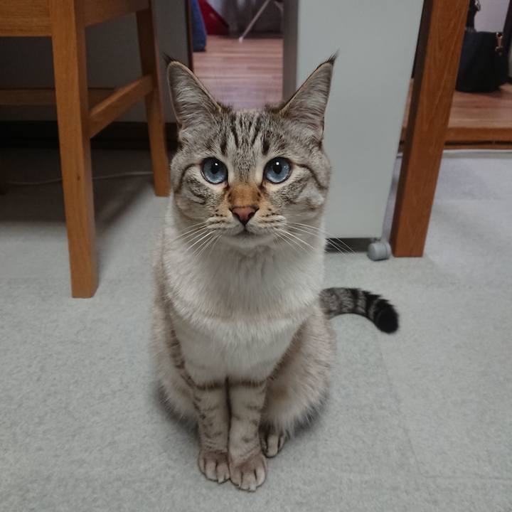 C94e046c f6e2 4510 9327 d4460f16e551 1551606518142