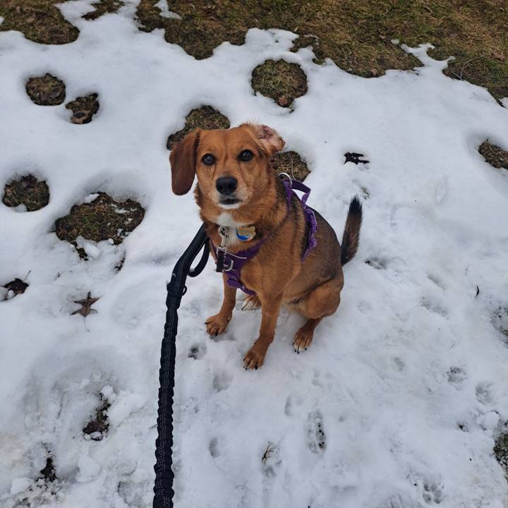 C94e186d e16d 4e47 bba3 32756525a3c0 1774127422835