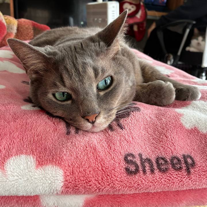 C94e202f 9a7f 49a7 847c fbf05159e041 1772853990135