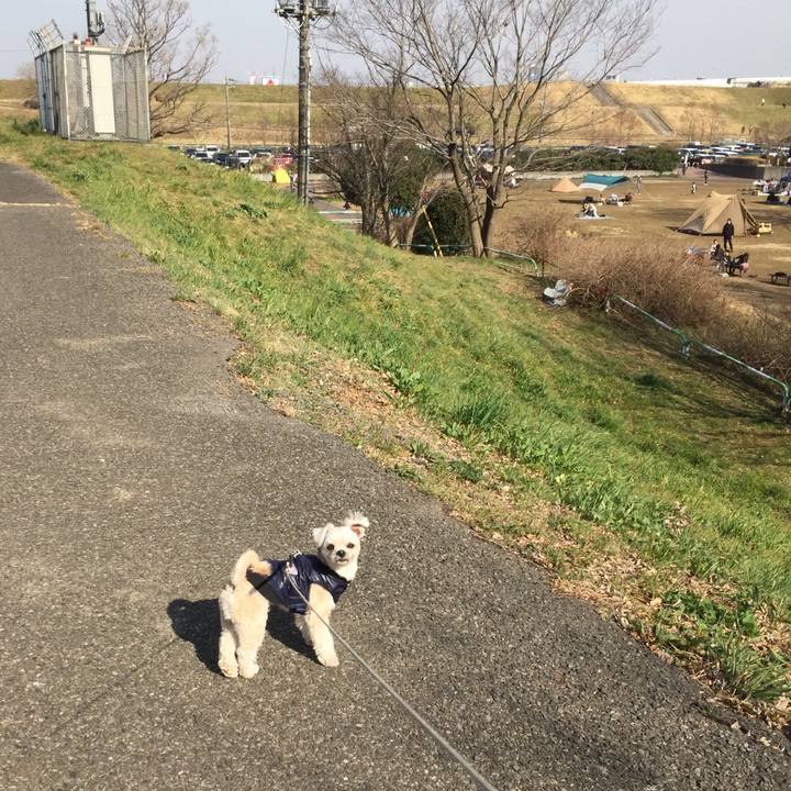 C94e58ad 2098 4255 bcfd 38ec3e79e5ba 1550996365384