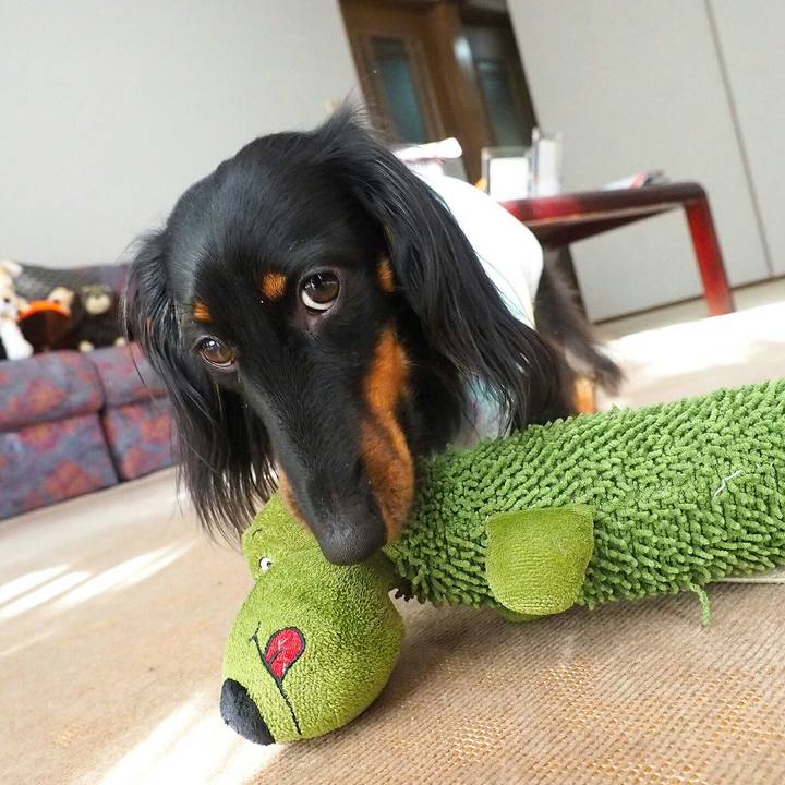 C94e5fea ba49 4d9c a6a4 7341de1efbc9 1512607696296