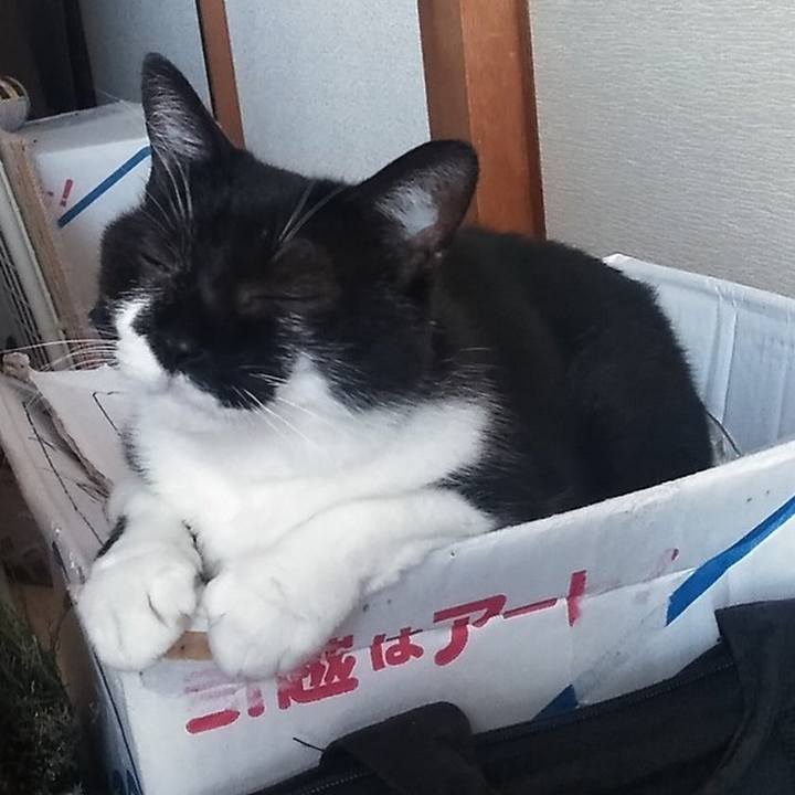 C94e77c2 a1f9 4852 b823 1cc55568f656 1565579735378