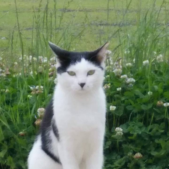 C94e7d5f 63c9 4118 a804 da3fd493a09e 1654568876908