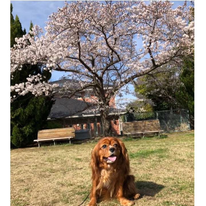 C94e923c 7d1b 4277 9f81 e8e2ab196e0b 1616806443989