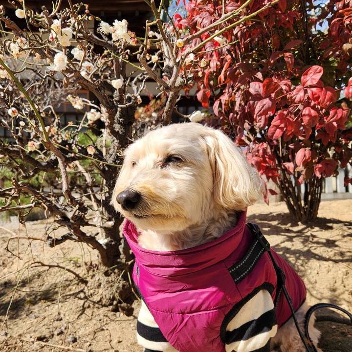 C94ed37c 77c1 4ad5 b98a f7ba318f389e 1770699523489