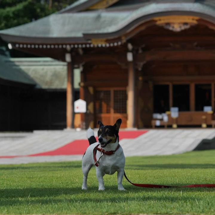 C94edbed 66aa 4533 9671 b71c7d4e5d84 1626912552329