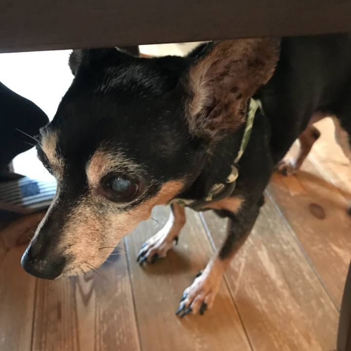 C94f0c43 a34d 4ed8 9840 ff08aaac0f3c 1566705985931