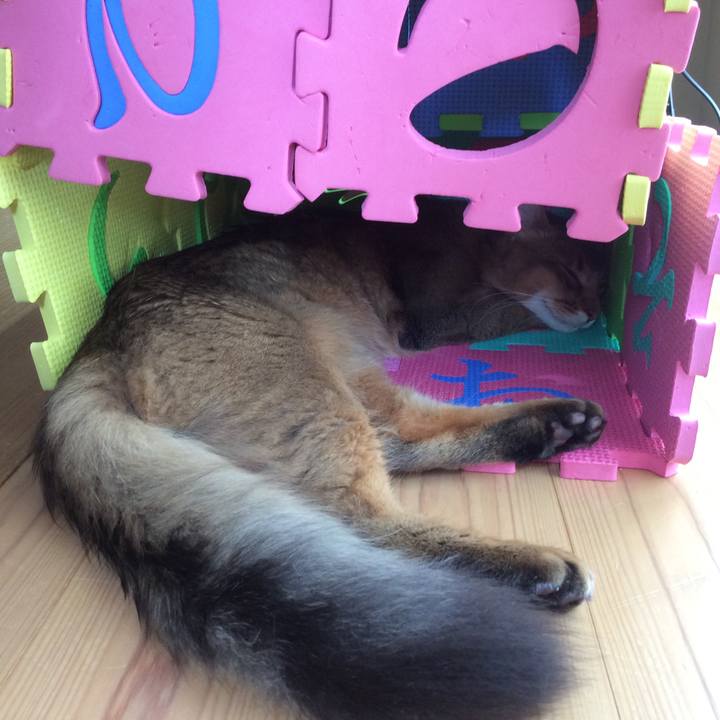 C94f0e83 2363 4c54 92a8 87c49de1ea4e 1564892264226