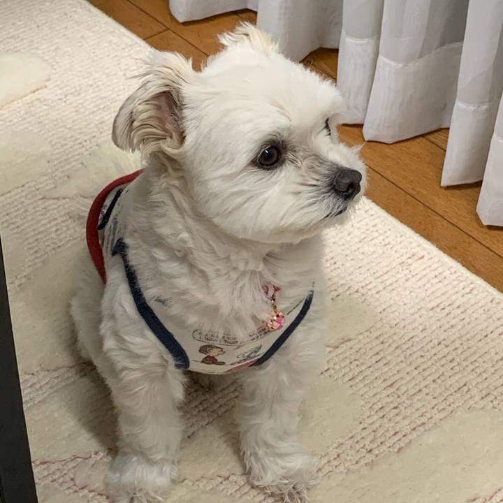 C94f2389 a340 40ed b6b1 55da97acbb4e 1580988808421