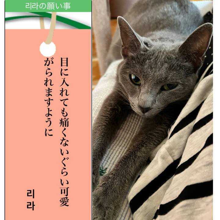 C94f5554 1628 4834 97e6 2511cedb1636 1657181972439