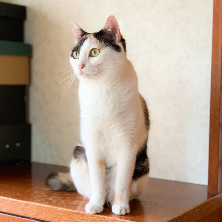 C94f5844 bd3b 4c48 96c9 b74ba6714605 1567129709792