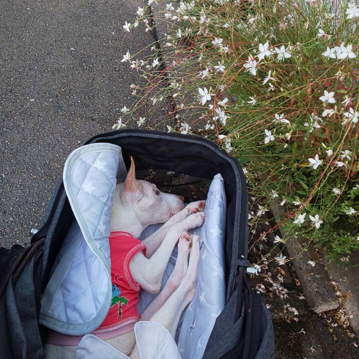 C94f9e3f 1d8f 4d05 ab4d 9120bc564266 1600384832558