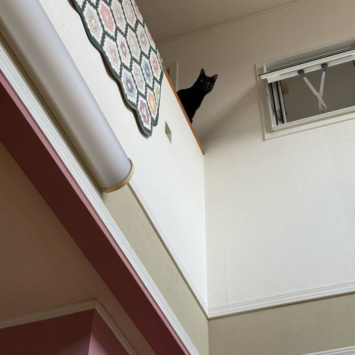 C94fa3ca d247 48d5 932f 92246a188898 1773184150109