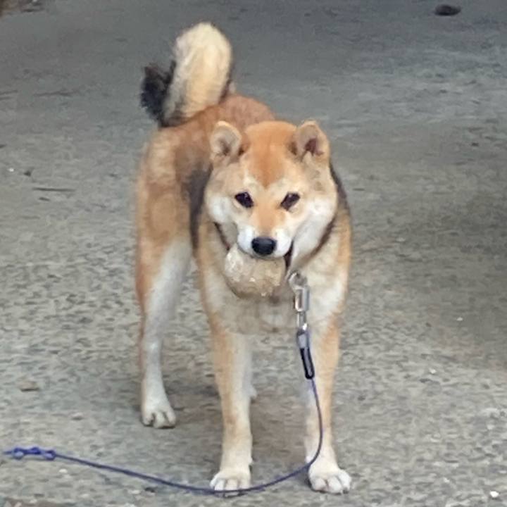 C94fe9fb a982 440e a4b3 2a317dc2034c 1749709461073