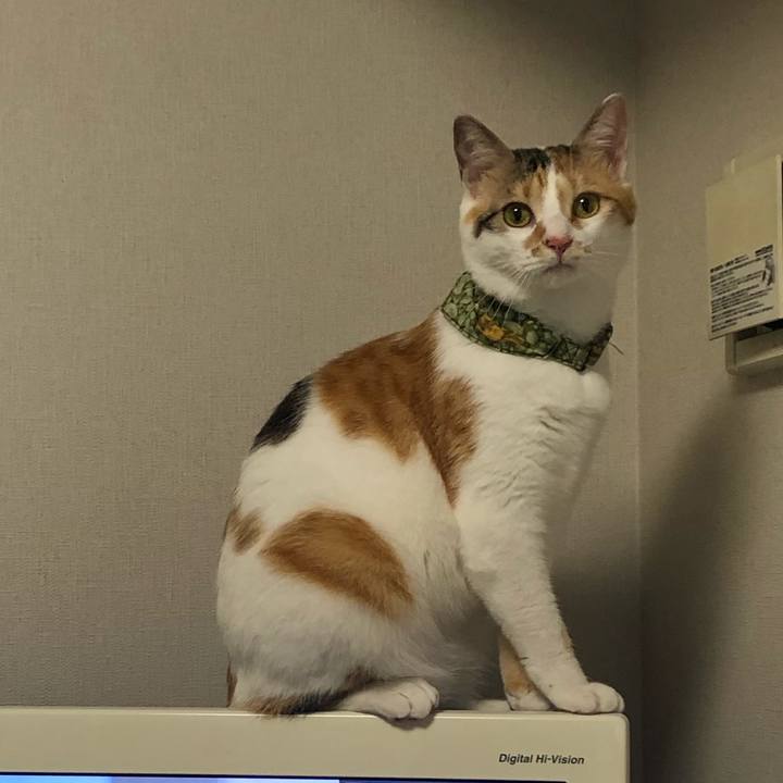 C9502644 6969 41d1 af8b a45fff8e7602 1594682971093