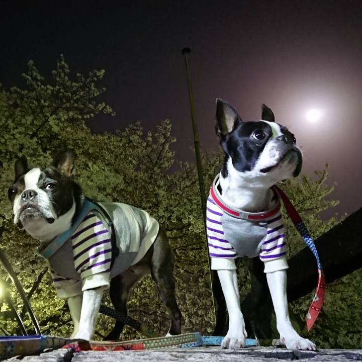 C9504eb8 de97 419f 8c5a dd0f3ba68caf 1522500134517