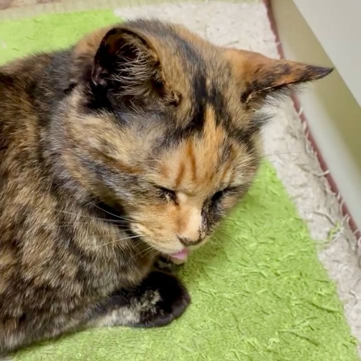 C950621e 9d37 49a6 bddb cd3934386d07 1747014497451