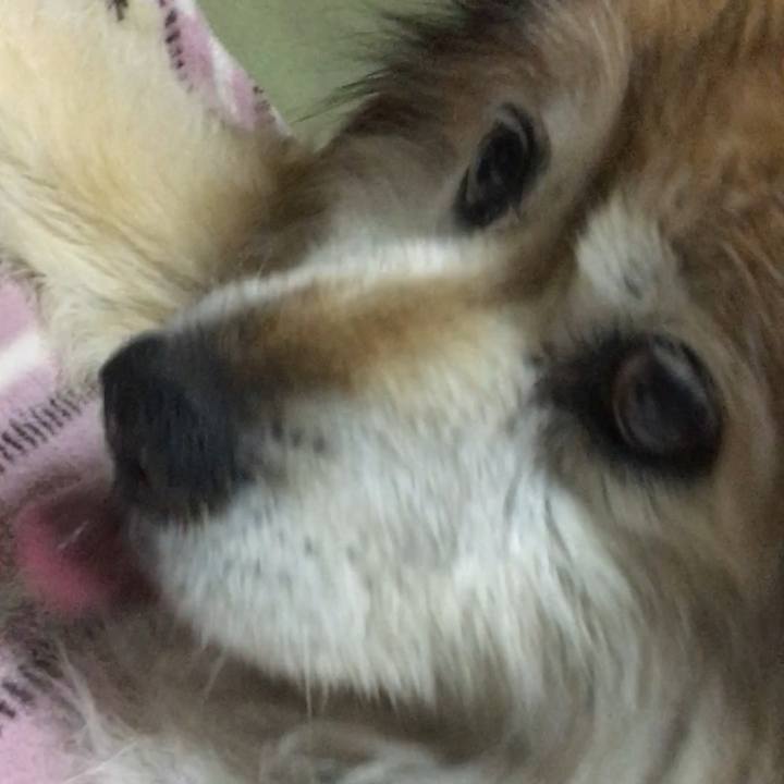 C95073f3 cd4e 4f9d 8511 e2b03c85cf0e 1599613772785