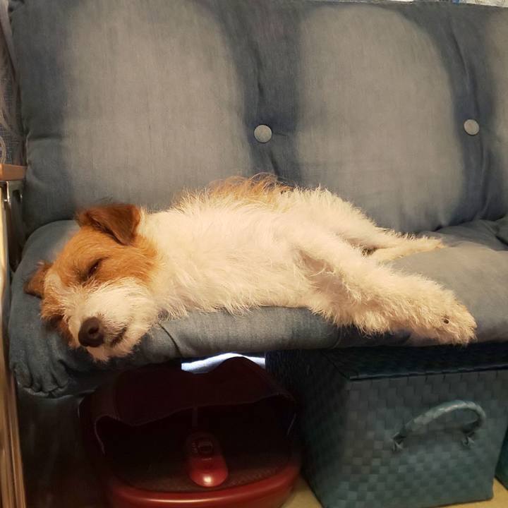 C9508f2c fecd 4c5f 8fa6 1ab2aae315c2 1597271104965