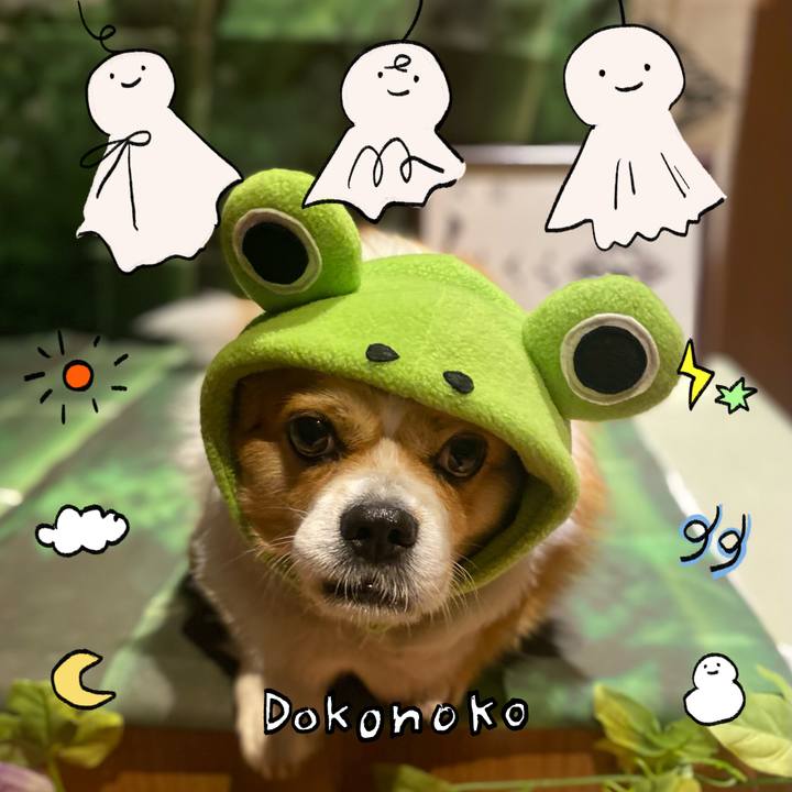 C9509028 5dc8 4ab9 8e51 f715ed7f7d76 1749421037292