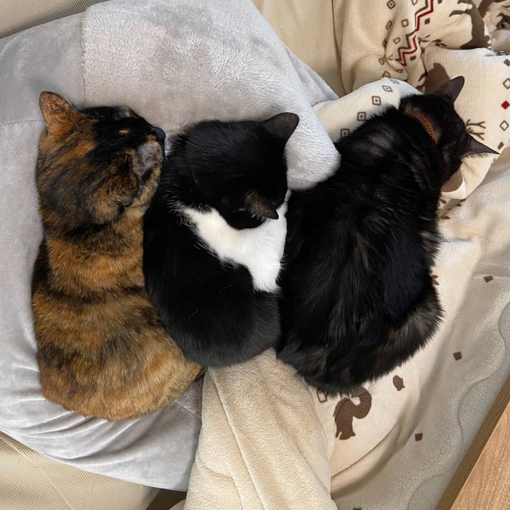 C95095ae ba01 499d aa53 1335fbea6ee6 1644972565336