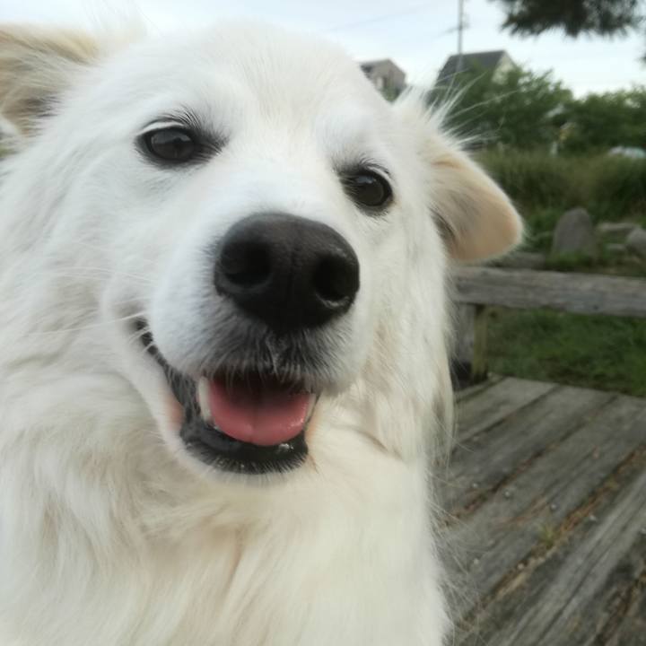 C950a9d1 f178 4d50 a5b3 88fc6ad4f704 1524736171644