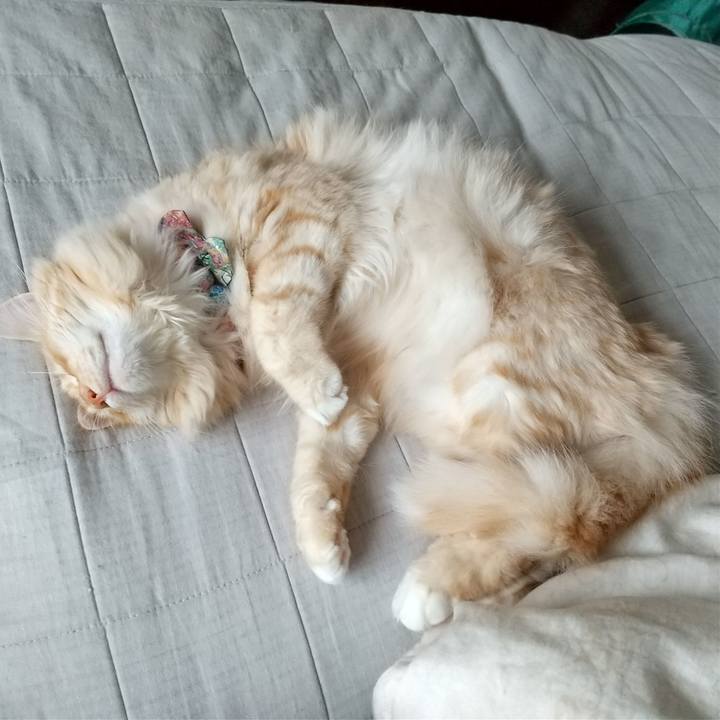 C950c671 40f3 44ba a3d1 afe66ac58c1e 1634355574211