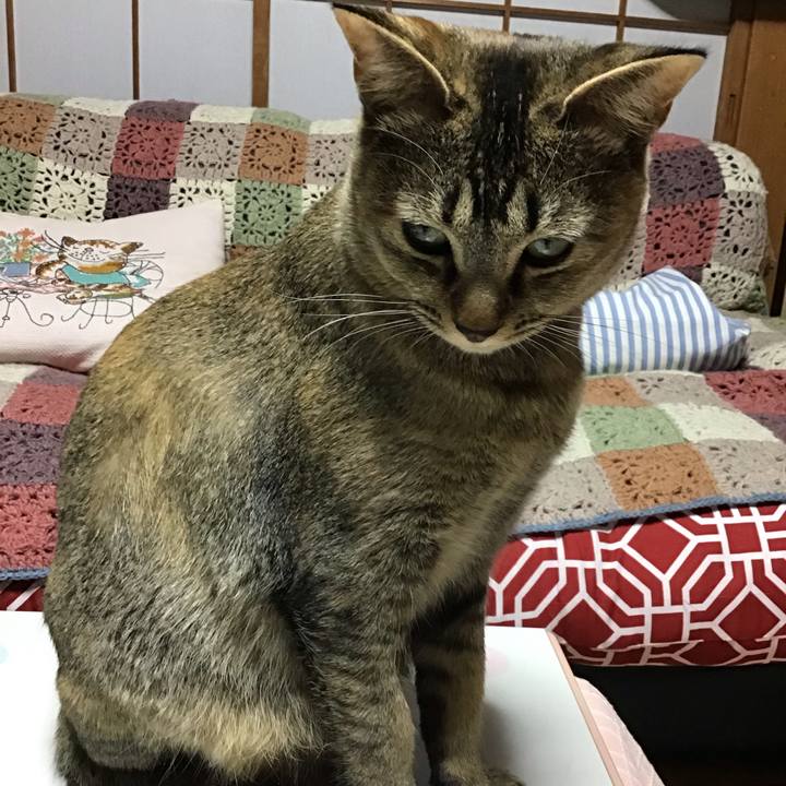 C950cc64 83c5 4092 9cc6 e0955bc97933 1581330235208