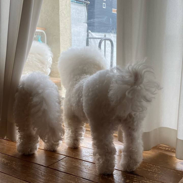 C950da55 fe49 45b4 9546 7f35401defc6 1666841570634