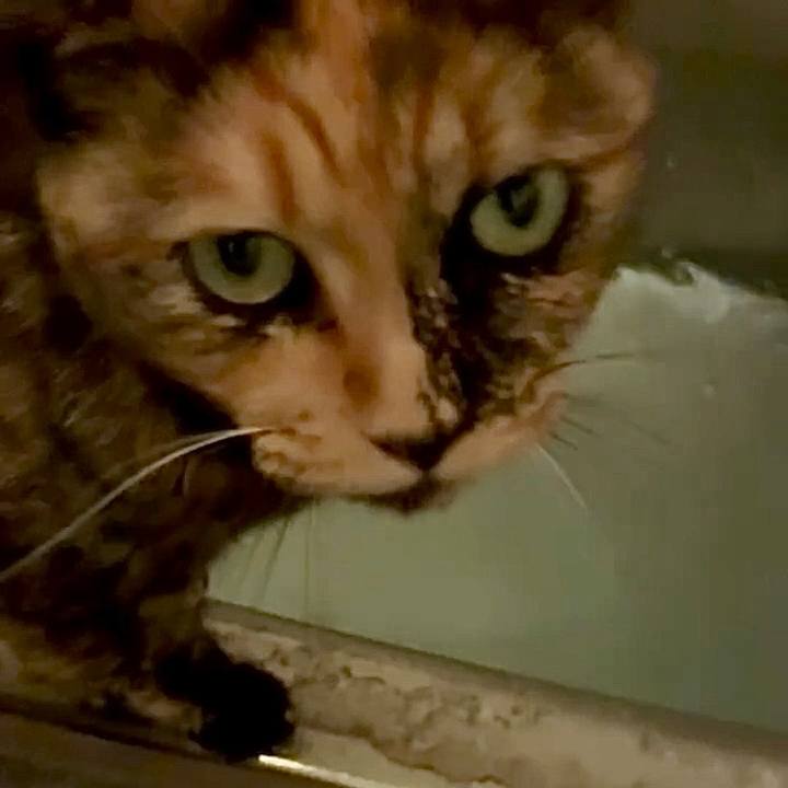 C950e5e6 6c28 4c64 98d1 cc0f468b674c 1753906418927