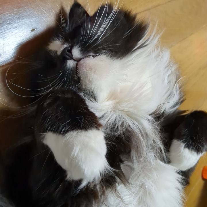 C950f068 19d3 4fbd bb94 1495209422bc 1677451518487