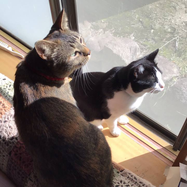 C950f931 2f83 460c bbdf 0baa476d47de 1680312663329