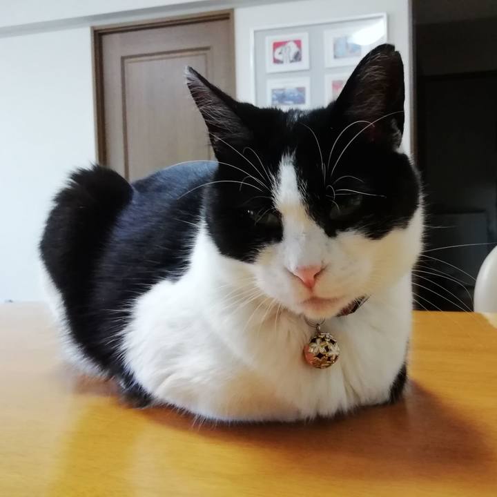 C9517655 d9ab 4764 ad80 1662943c670c 1559126519556