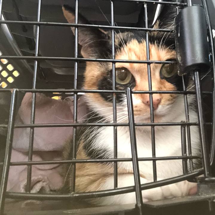 C95180c8 1d68 4b21 b78a 28401e83fd57 1616117753296