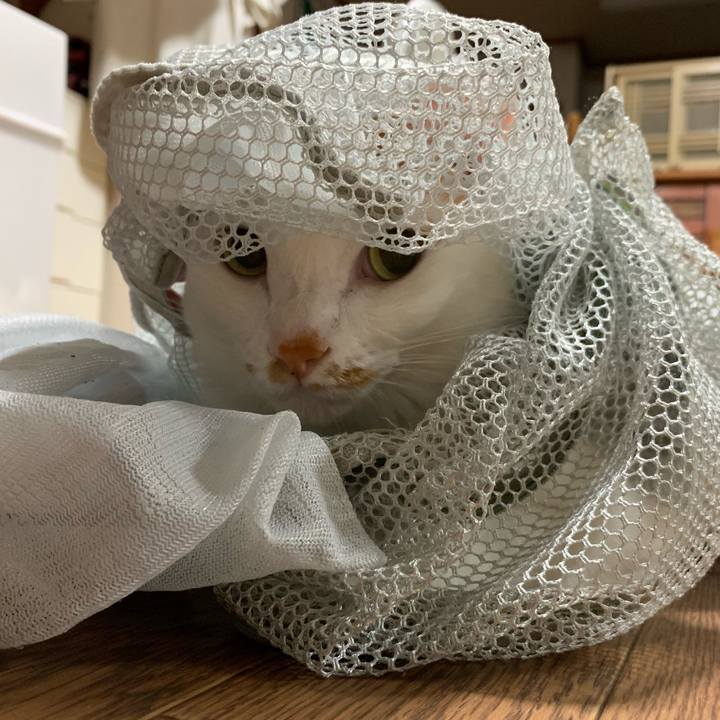 C951dff5 ff28 4496 a72b e582d487a8b2 1567398052455