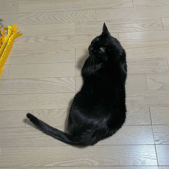 C951e6a5 41d9 4766 b0d7 f0a34542bff2 1716635131535