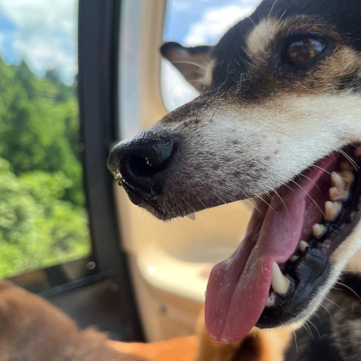 C9521983 e9b3 4fe2 a07a f750e7e60809 1659265421584