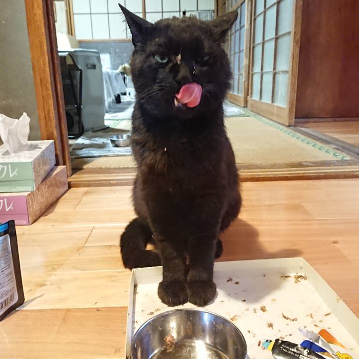 C9521a2c add4 4a1b 9d98 28d456be9ae2 1623580431169