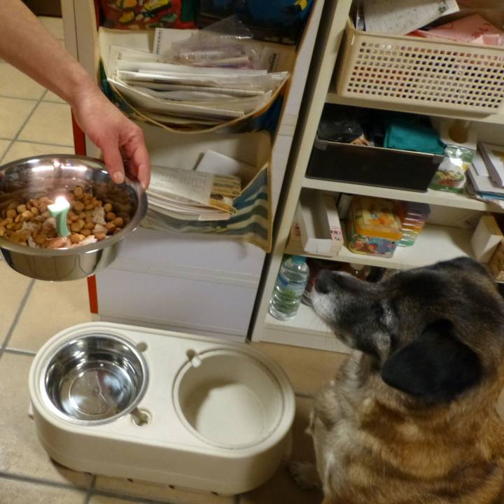 C9529694 82aa 474e a49d a41091540090 1581159425310