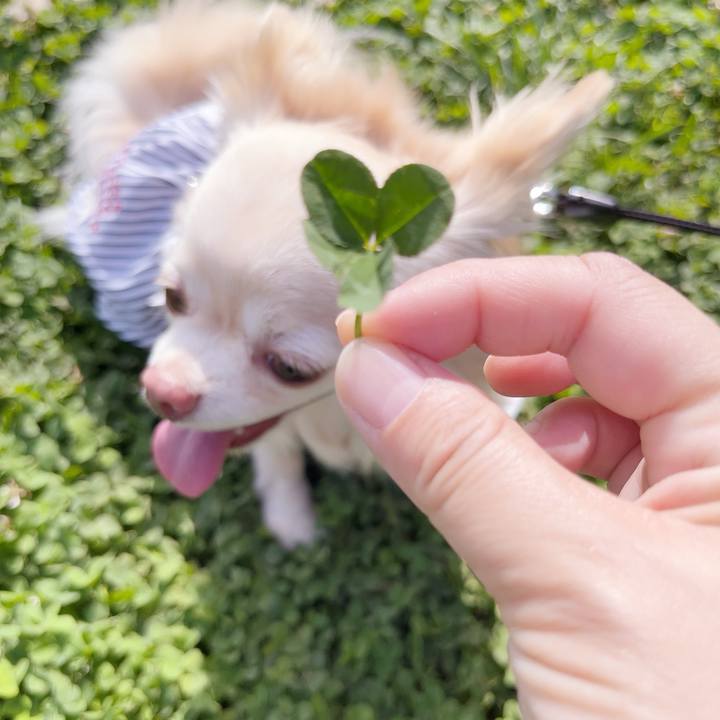 C952d5e0 1f76 428b 9ab7 f85d976aa2f2 1749984012825