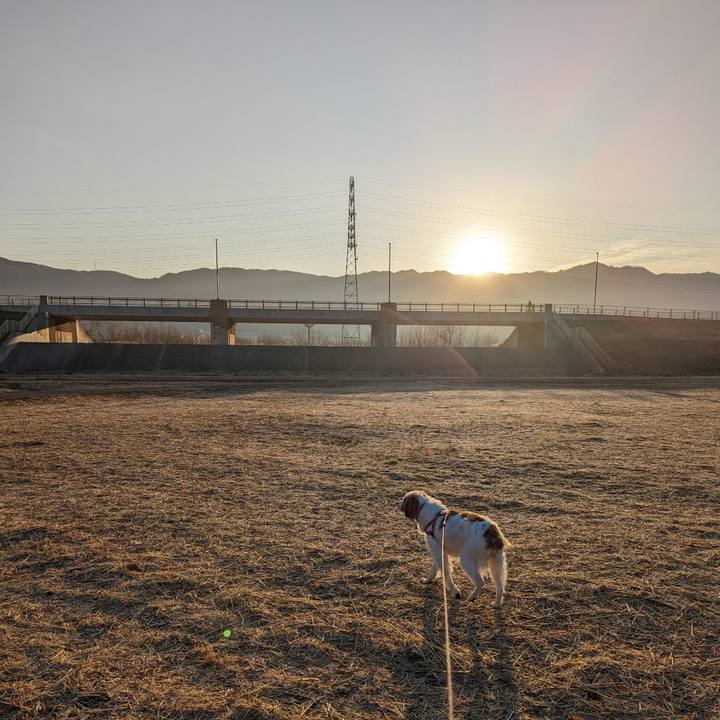 C952f671 0574 4366 9636 90867cfb289e 1677632106497