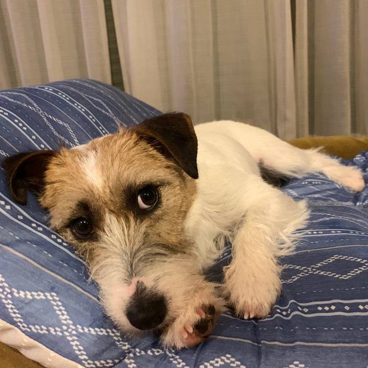 C9531a48 f32a 4c41 8504 3aaee6c04f77 1589894466355