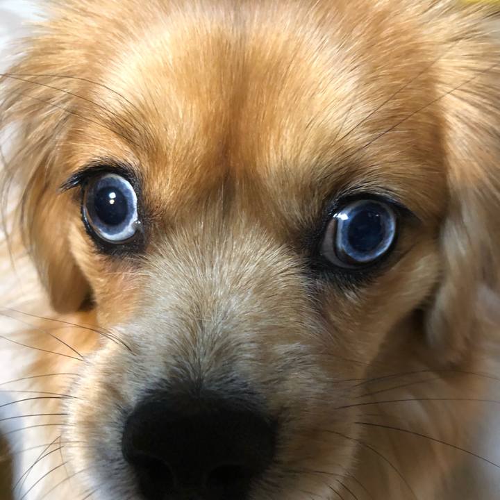 C9533711 0bc0 4695 98d0 a0cd0f90e18d 1549402687291