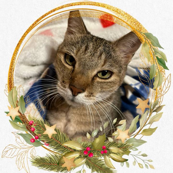 C95342fc e47e 4260 bff5 9a8e95ed4bef 1735013421140