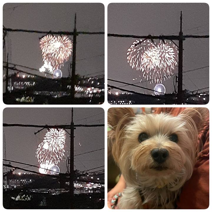 C953867f e76f 4d13 8a52 720978b4701f 1691495043266