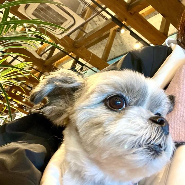 C9538e0e e17f 4d05 9e16 9e3863b68a13 1705115272159