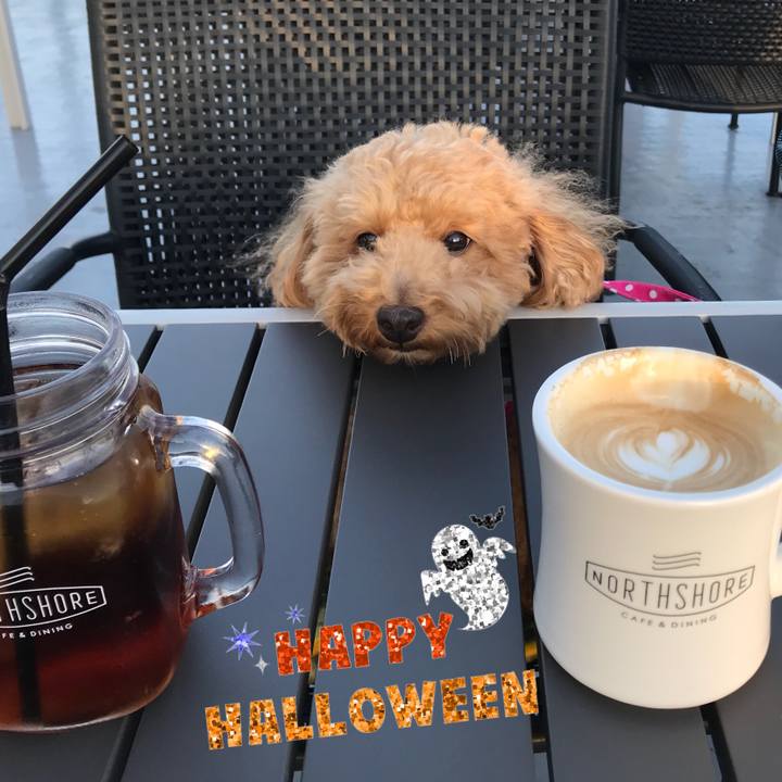 C95398e5 6604 4f89 9746 e11618907cf7 1540650114760